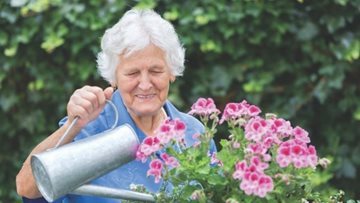 Residents at Grey Ferrers care home get creative in the garden